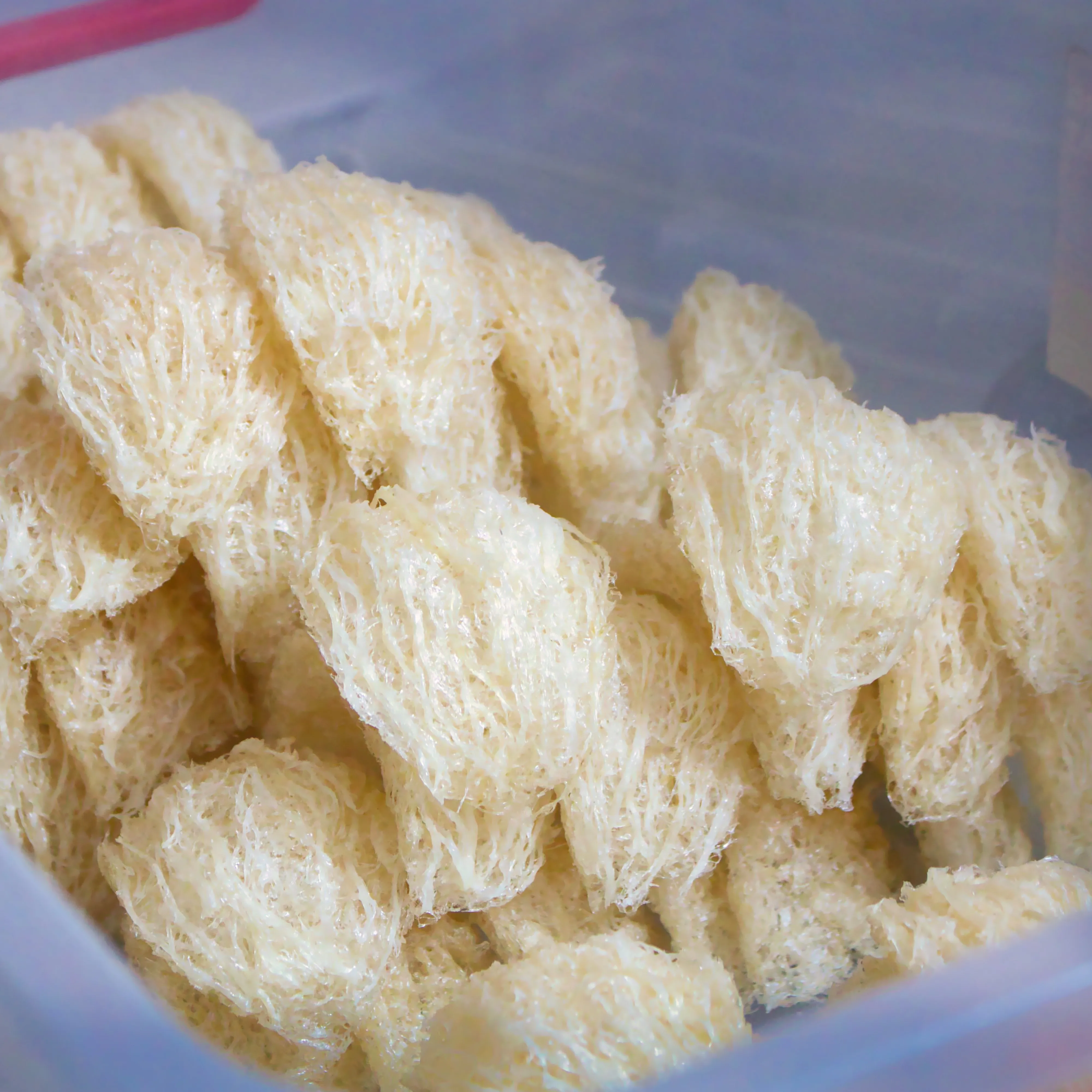 Yến Sợi Cao Cấp
