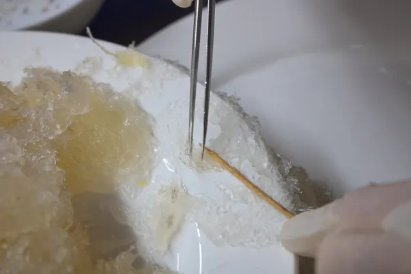 Thành lập Ngọc Thảo 2006